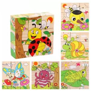 6 Sided Insects Cubical Wooden Puzzle for Kids