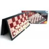 BRAINS CHESS - MAGNETIC BOARD GAME