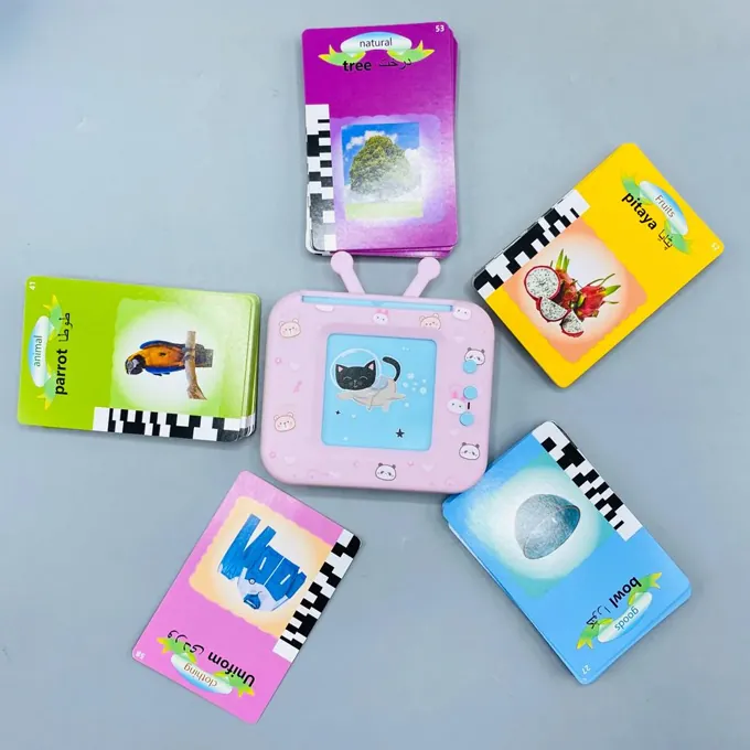 Hello Kitty Educational TV - 109 Flash Cards for Early Learning - Image 4
