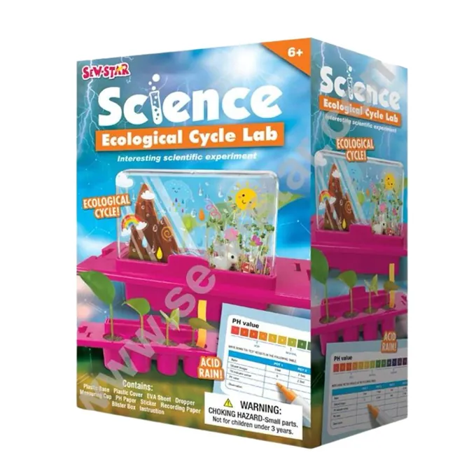 Science Ecological Cycle STEM Toy for Kids - Fun Educational Kit